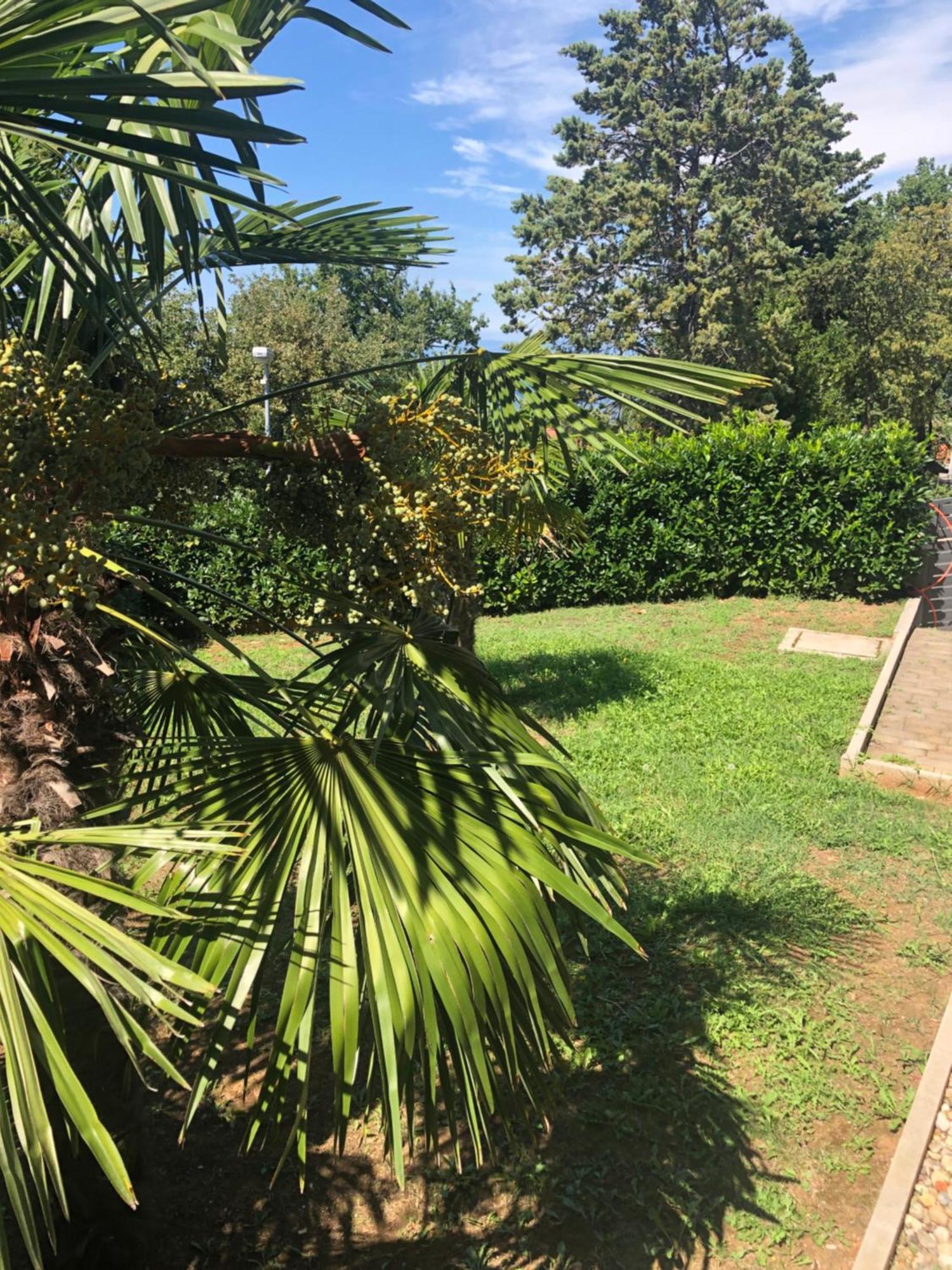 Villa Rudy Holiday Home Njivice Bagian luar foto